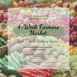 The image for Farmers’ Market Week 1