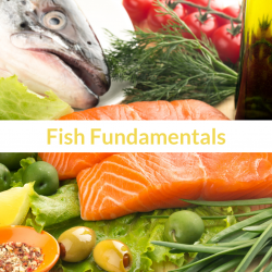 The image for Fish Fundamentals
