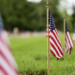 The image for Memorial Day Weekend!